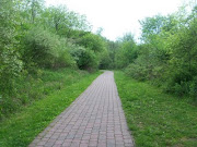 The hiking trail around the lake