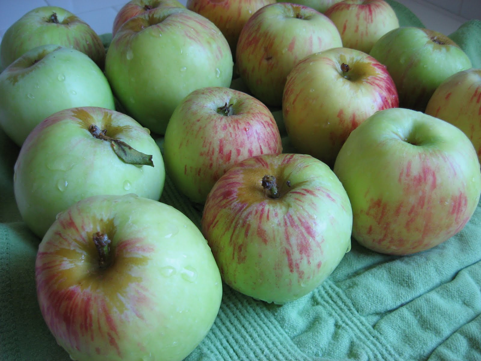 Recipes to Nourish Homemade Gravenstein Applesauce