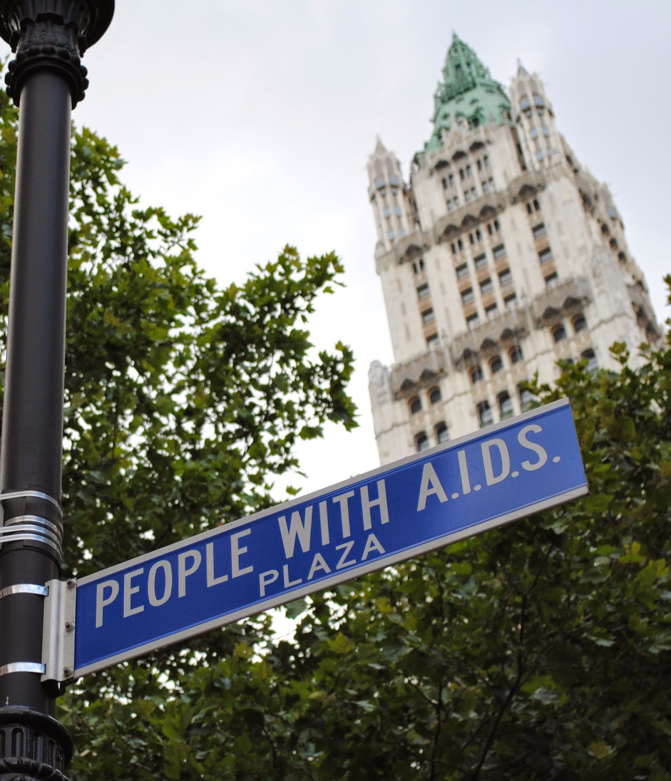 The Carpetbagger A Carpetbagger in New York