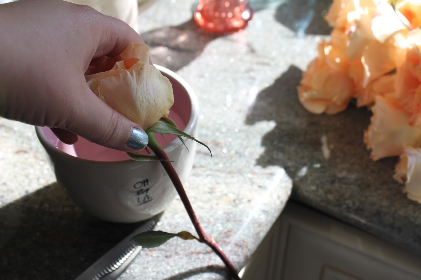 life collection Roses two ways Part one