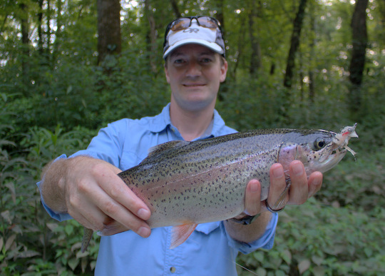 Caney Fork rainbow trout