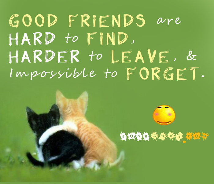 Featured image of post Short Funny Quotes Tagalog About Friendship - Good friends are an important key for a happy life.