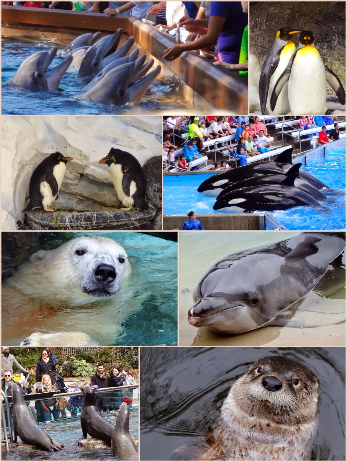 Stu the Zoo Public Aquariums Are they worth visiting?