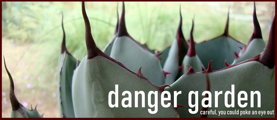 danger garden