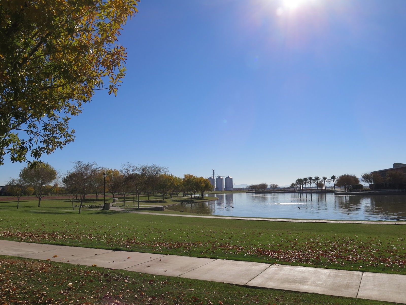 Morrison Ranch, Gilbert, AZ Warner Groves at Morrison Ranch!