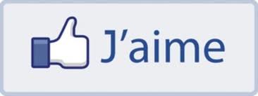 Qui connais Sébastien Patoche Logo+j+aime+fb