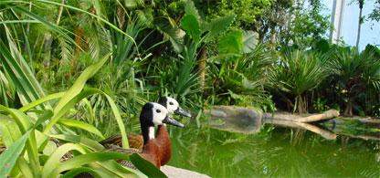 rencontre malgache nosy