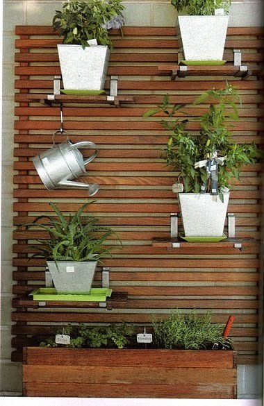 mini jardim apartamento:APROVEITEM.AS NOVIDADES TODA SEMANA. mini jardim apartamento:APROVEITEM.AS NOVIDADES TODA SEMANA.