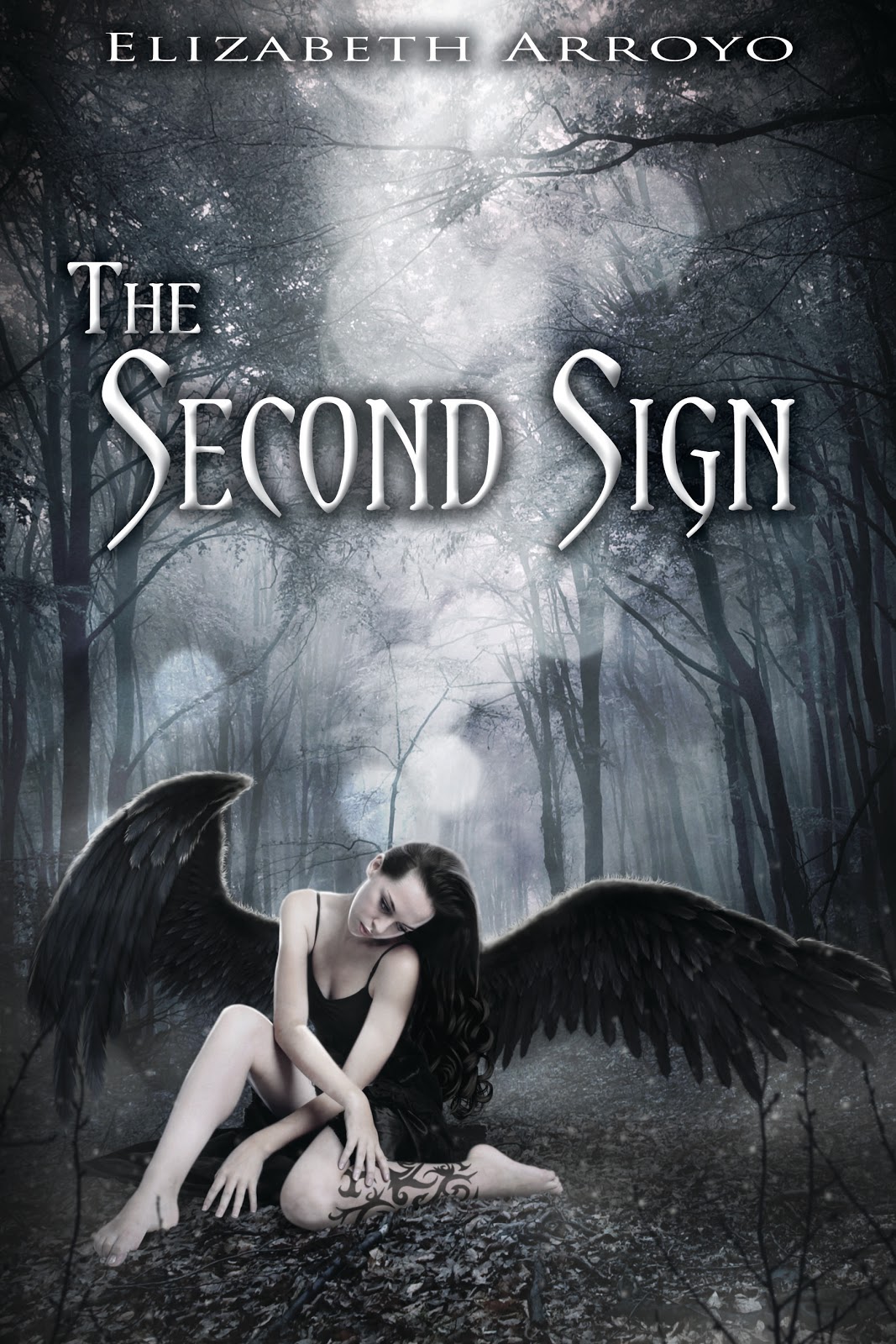 http://www.whatsbeyondforks.com/2013/03/the-second-sign-tour-review-giveaway-of.html