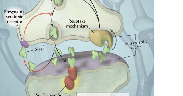 SINDROME SEROTONIN