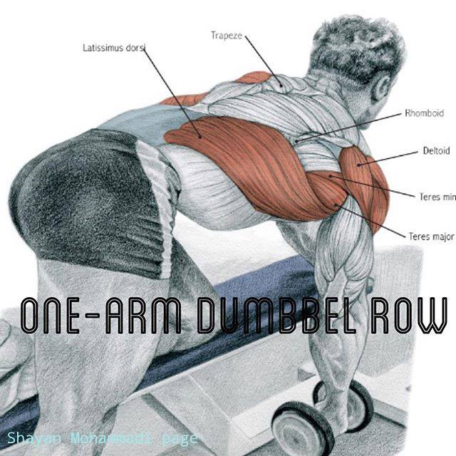 Get V shape Back Ultimate Back workout For Thick and Bulk. to the Fitness World