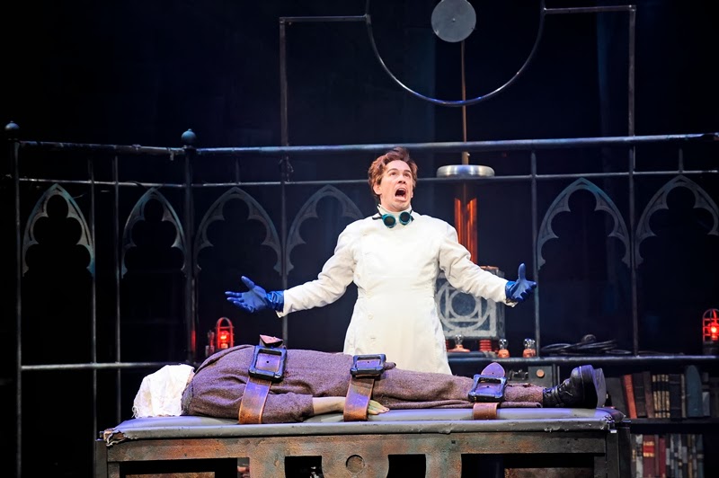 Young Frankenstein - Theatre reviews