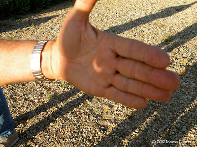 Annular Solar Eclipse 2012:  A convergence begins in my godfather's palm.