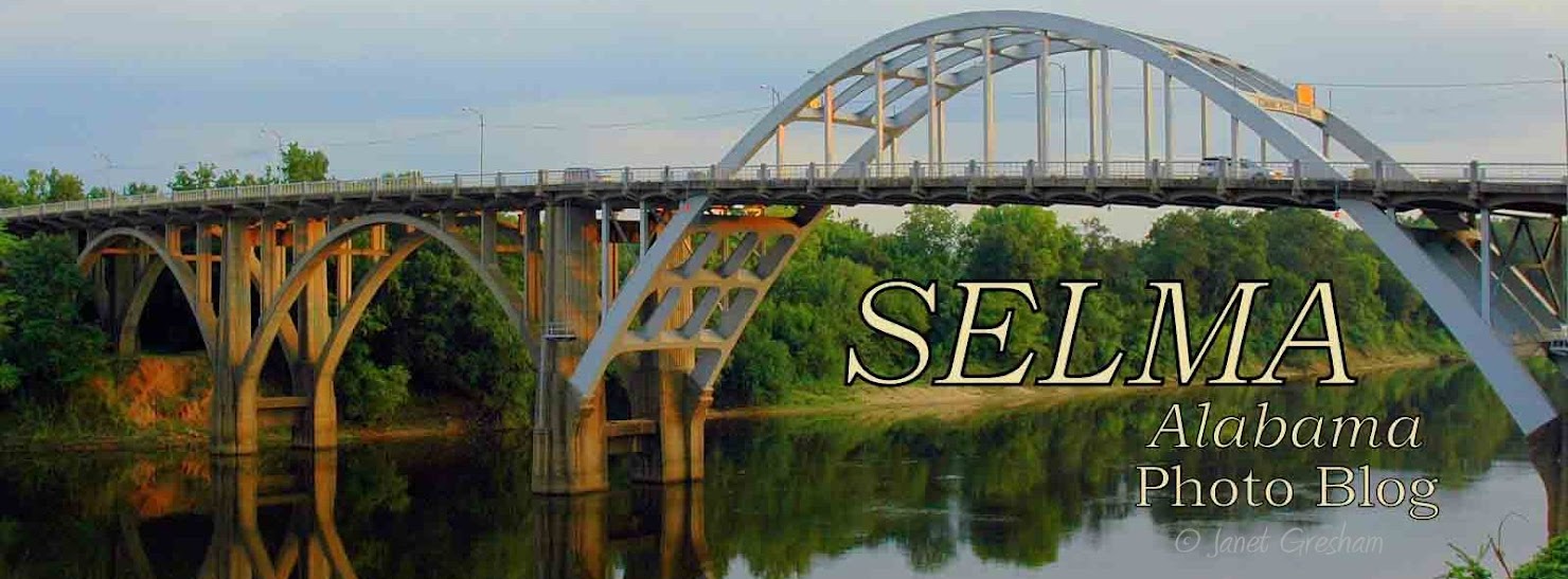 Selma Ala