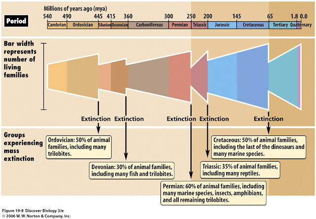 mass+extinctions.jpg