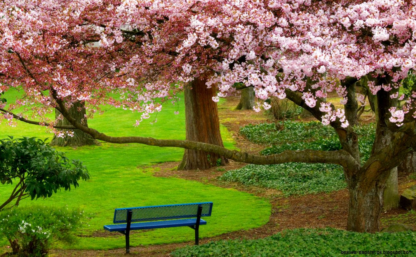High Resolution Nature Wallpaper All Wallpapers New High Resolution Nature Wallpaper All Wallpapers New