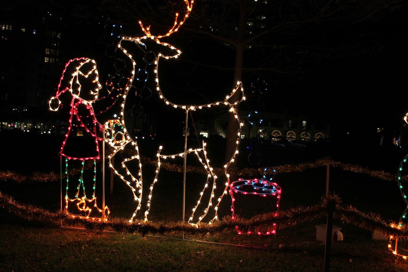 Christmas lights in Downtown St Pete. North Straub Park.