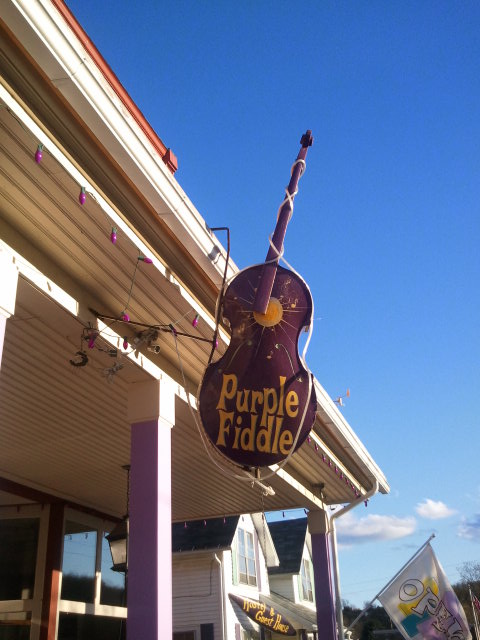 the purple fiddle