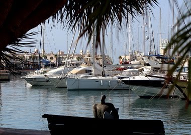 Muelle Francisco Tomás y Valiente-