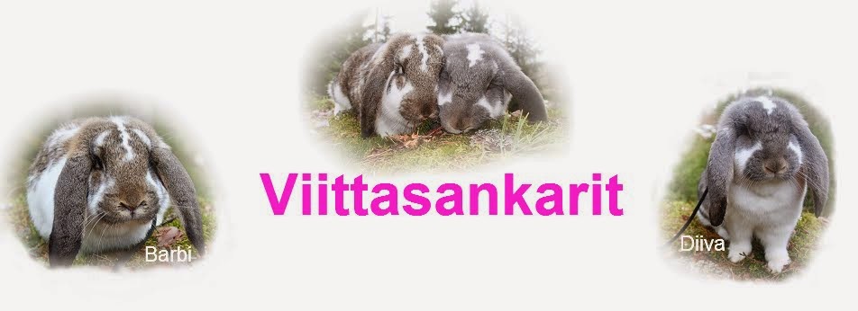 Viittasankarit