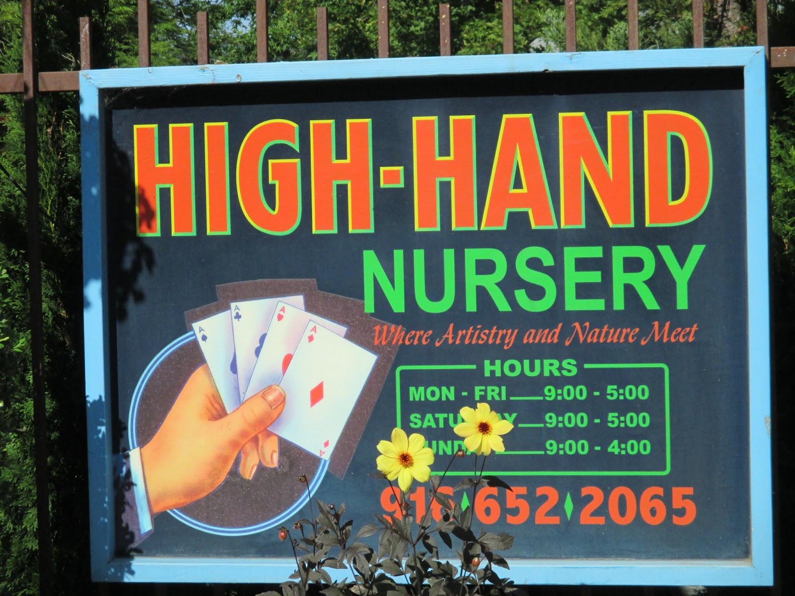 A Roe Adventure HIGH HAND NURSERY