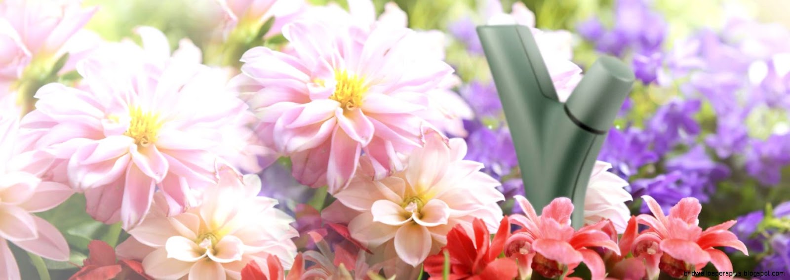 Parrot Flower Power intelligent wireless sensor for your plants Parrot Flower Power intelligent wireless sensor for your plants