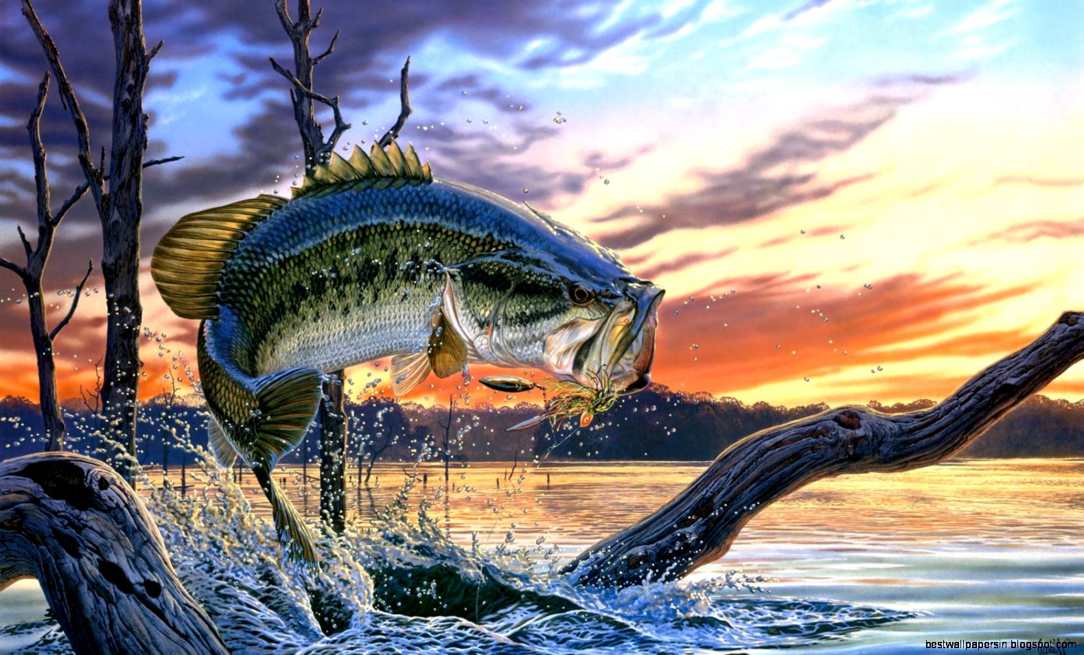 Bass Fishing Wallpaper Backgrounds Wallpaper Cave Bass Fishing Wallpaper Backgrounds Wallpaper Cave