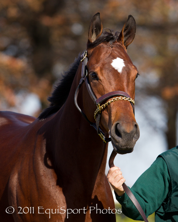 Turf & Dirt On Horse Racing Grace & Glory.. Havre de Grace and Gio Ponti