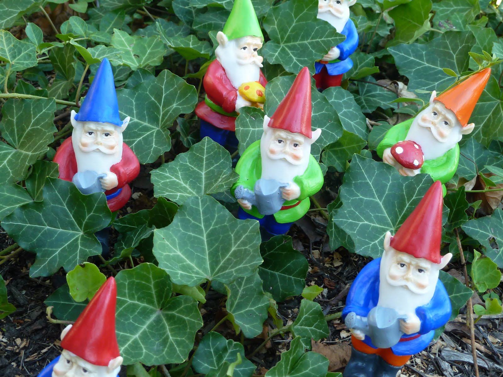 Sometimes Creative Gnome Fun