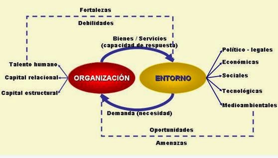 Entorno de la organizacion essay 05 image