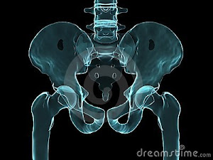 hip x-ray