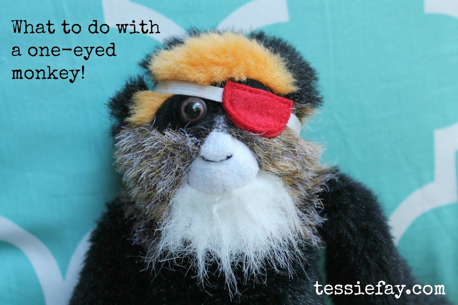 Tessie Fay What to do With a OneEyed Monkey