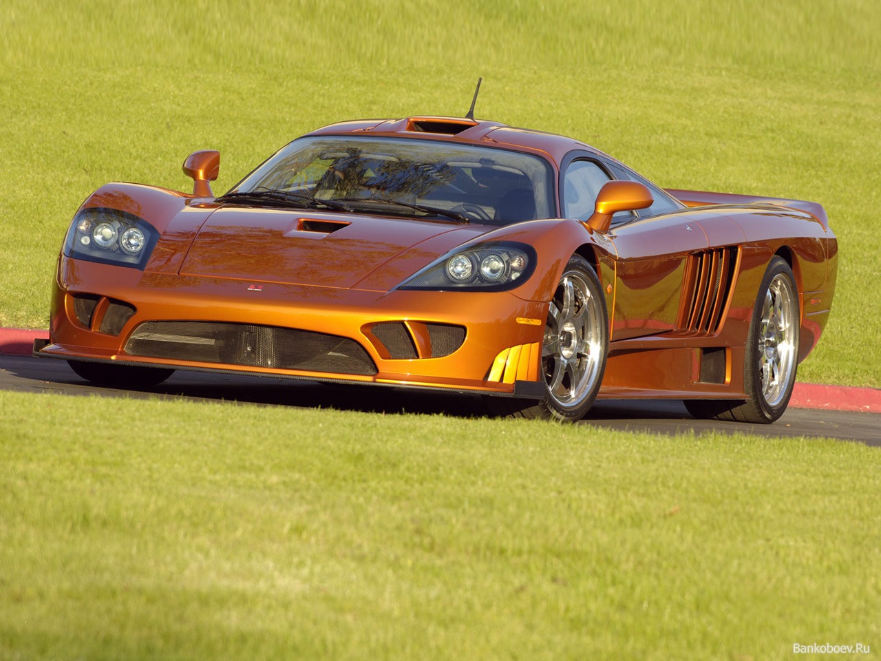 http://3.bp.blogspot.com/-qo_lkwCEPCU/T69sl-DAFdI/AAAAAAAABpE/xnqeAMirBHg/s1600/Saleen+S7+twin+turbo+HD+Wallpaper+(2).jpg