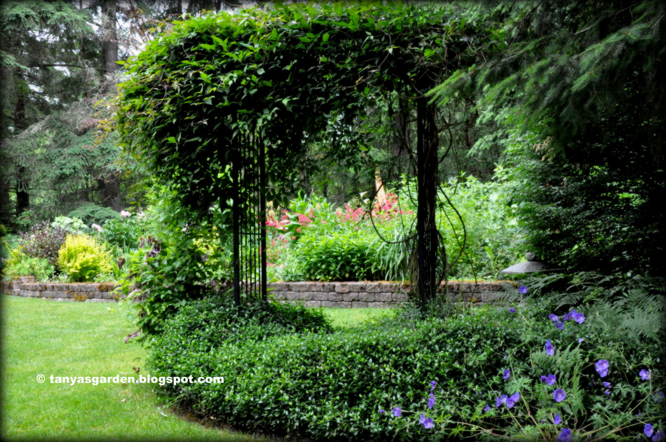 MySecretGarden: June 2014