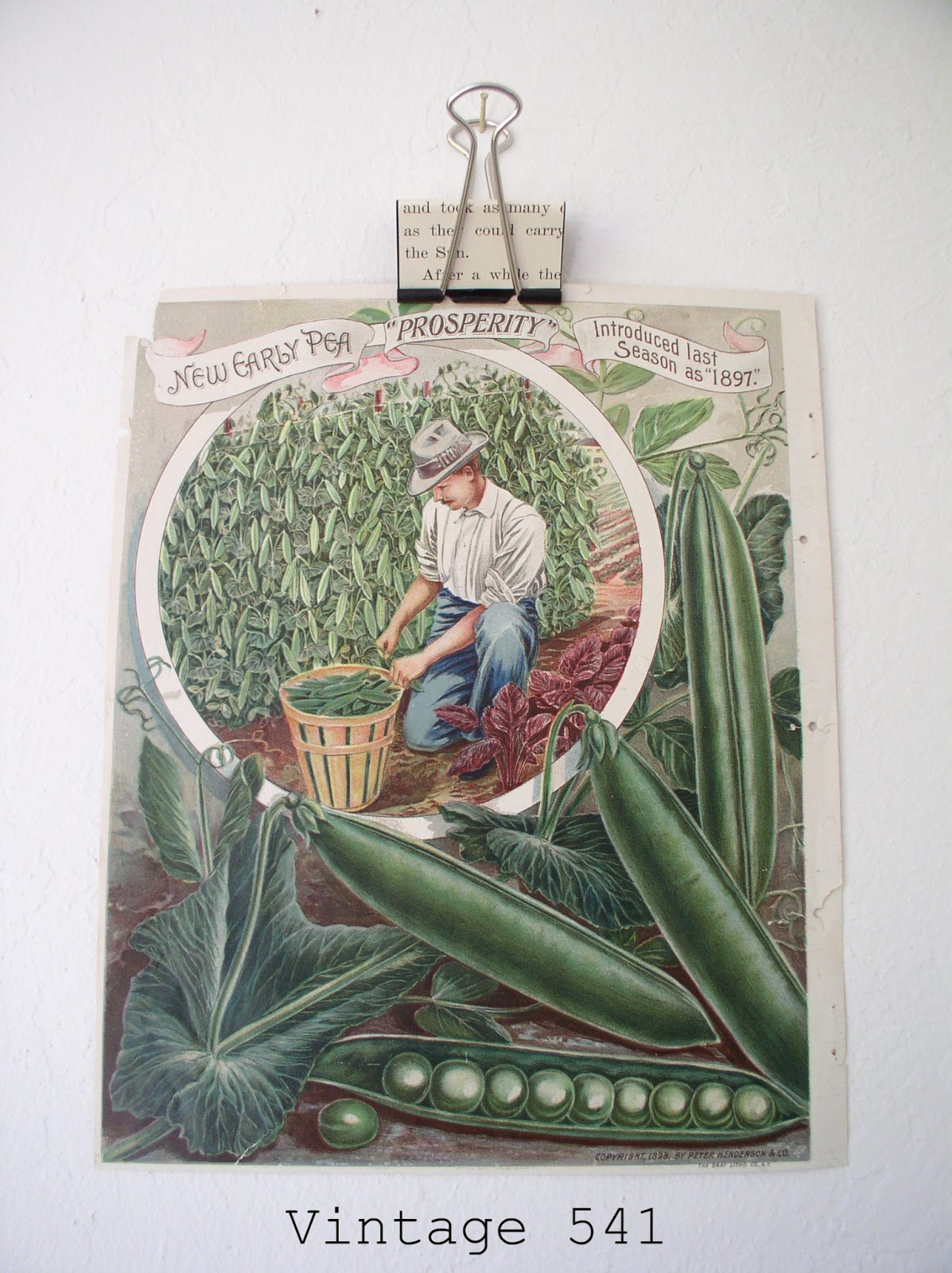 Vintage 541 Paper Clip Photo/Inspiration Holders