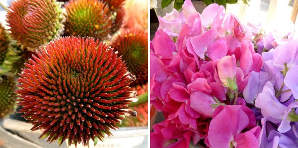 Buttons & Blooms - Florists at the Antique Café in Morningside, Durban Buttons & Blooms - Florists at the Antique Café in Morningside, Durban
