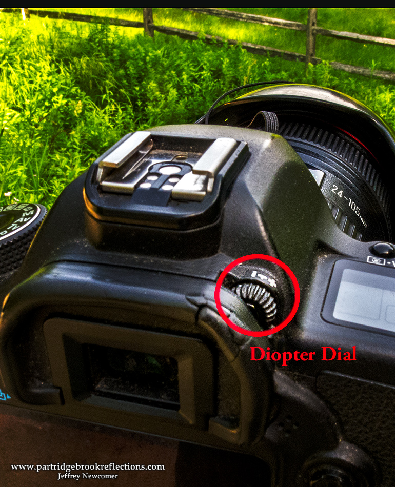 Getting it Right in the Digital Camera Tips for Sharp Focus