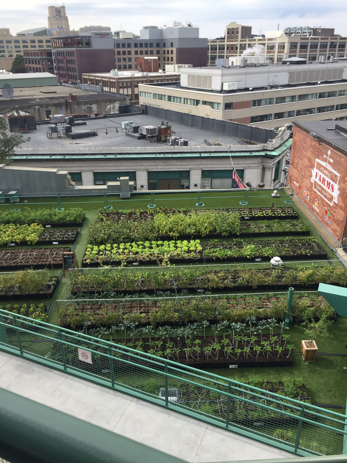 Rosemary's Sampler Fenway Park, Boston Rooftop Garden