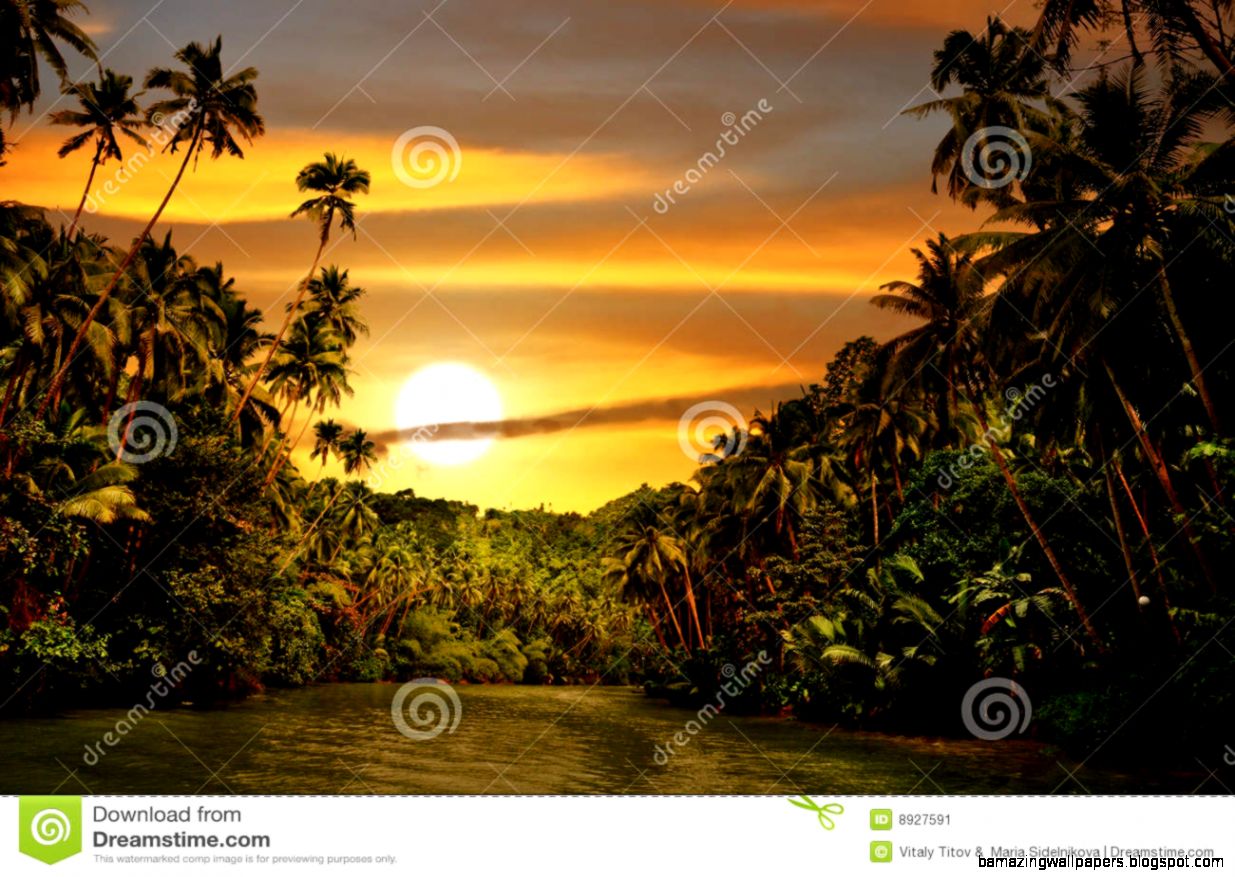 Rainforest River Sunset Stock Image   Image 8927591 Rainforest River Sunset Stock Image   Image 8927591