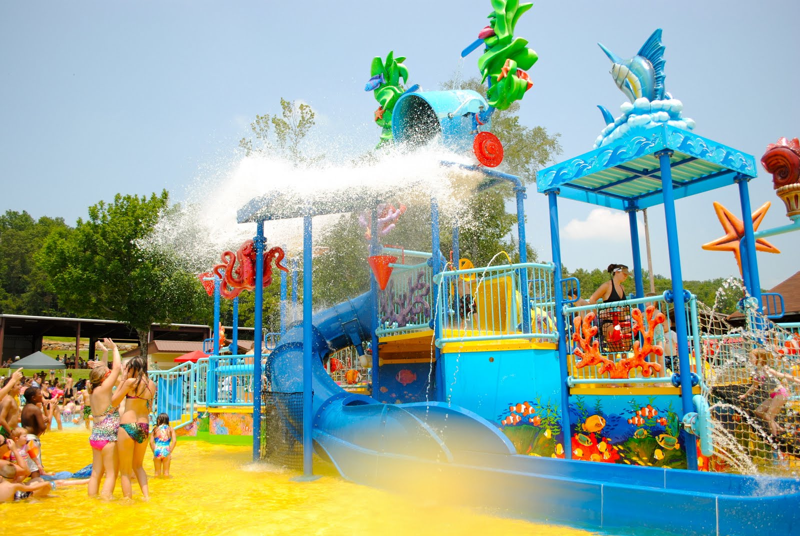 Growing with the Gunters Spring Valley Beach!