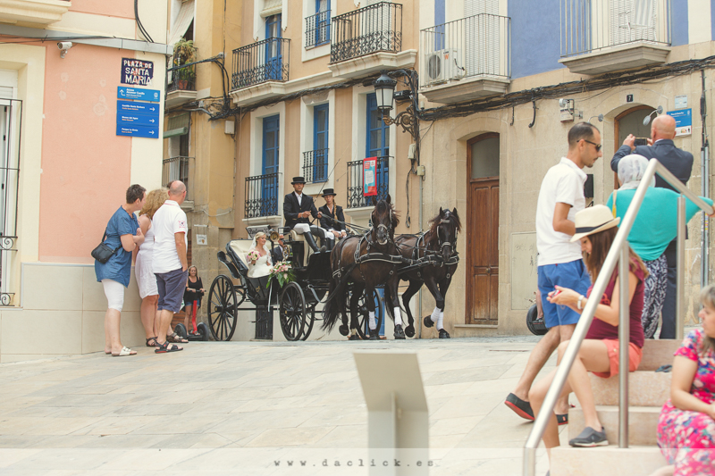 Carruaje de Caballos Alicante