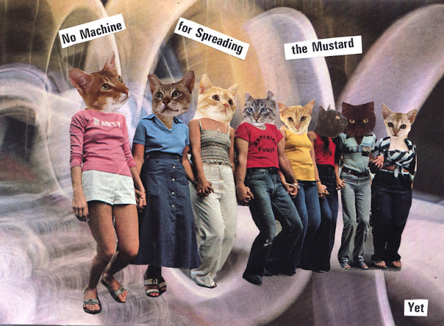 Surreal cat collages