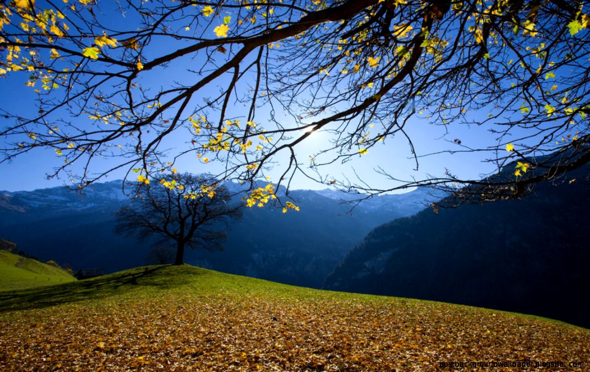 Free Nature Wallpaper 6793413 Free Nature Wallpaper 6793413