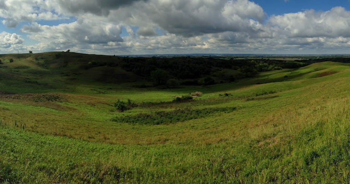 Wild Plants Post What does a grazed grassland look like?
