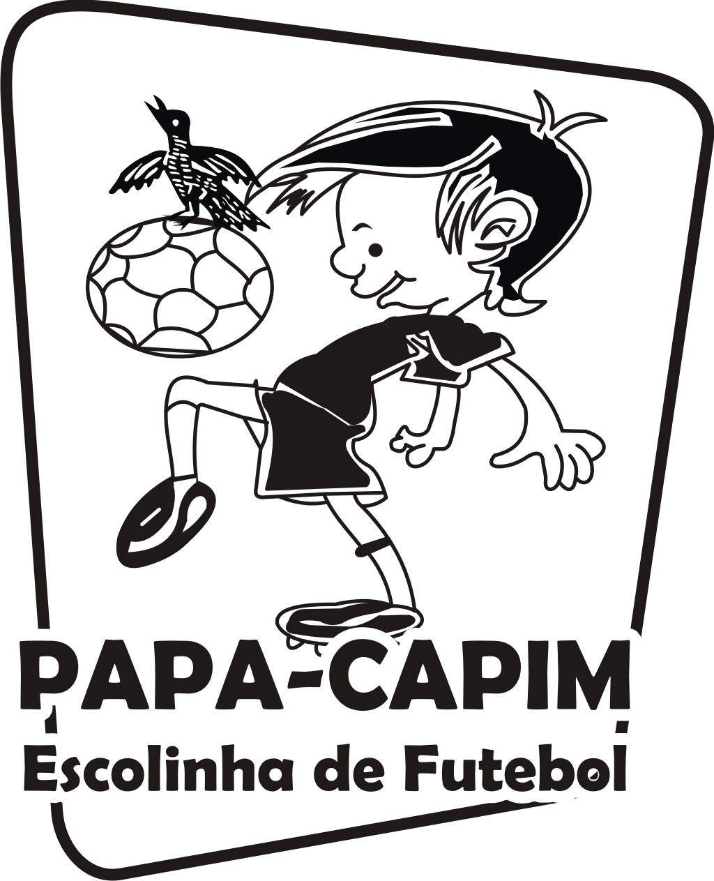 sal da terra pe ações missionárias
