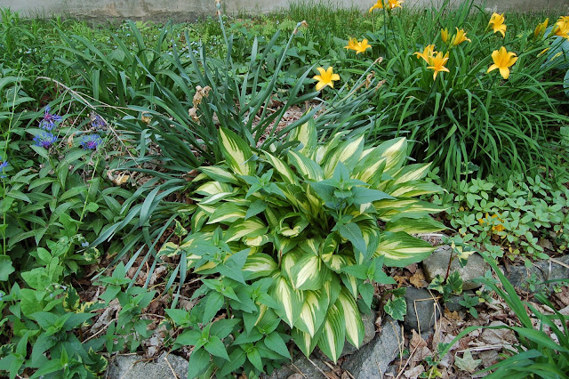 Notre Jardin Secret Un Apres Midi Au Jardin