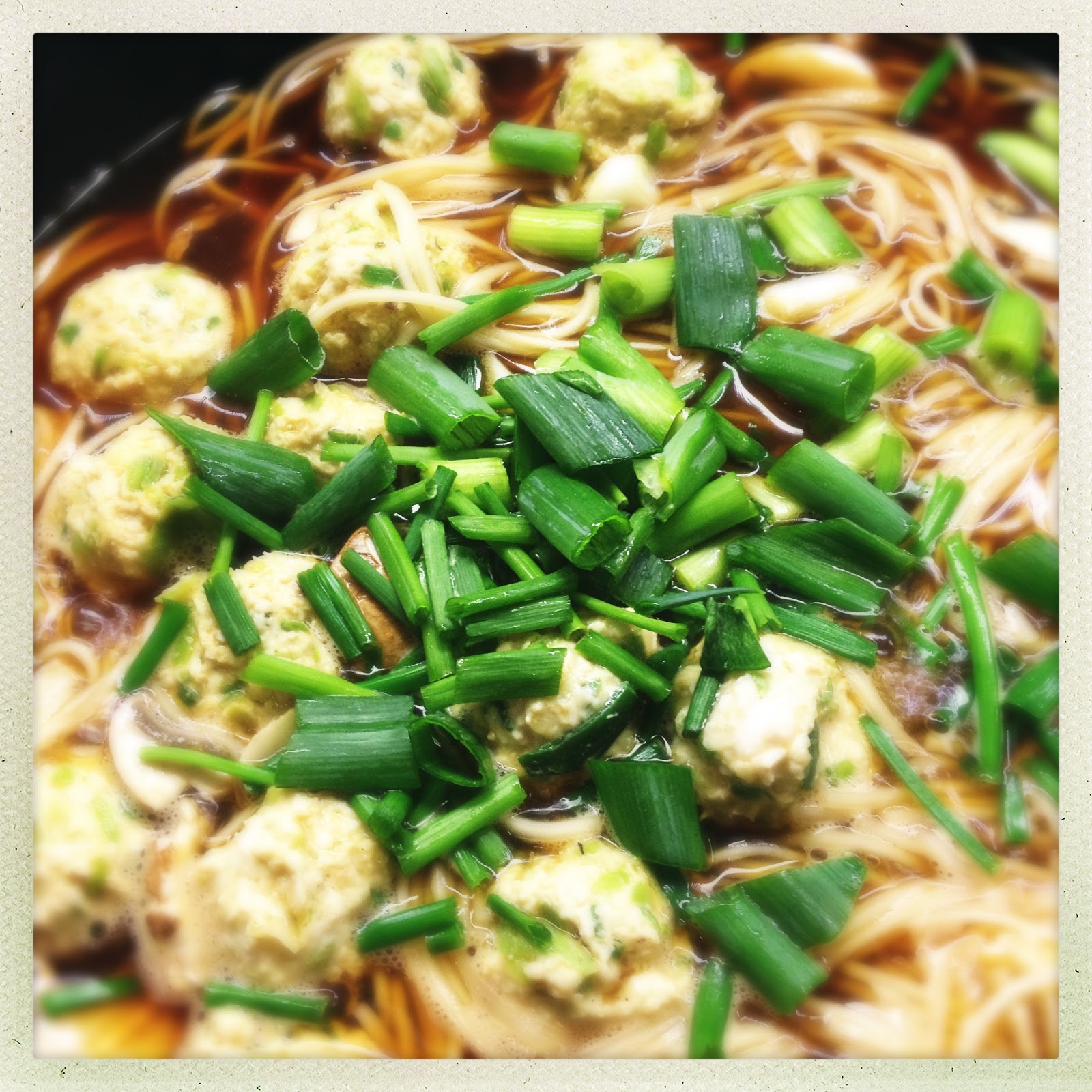 Slice Of Slim RECIPE Chinese Style Noodle Broth with Tiny Chicken