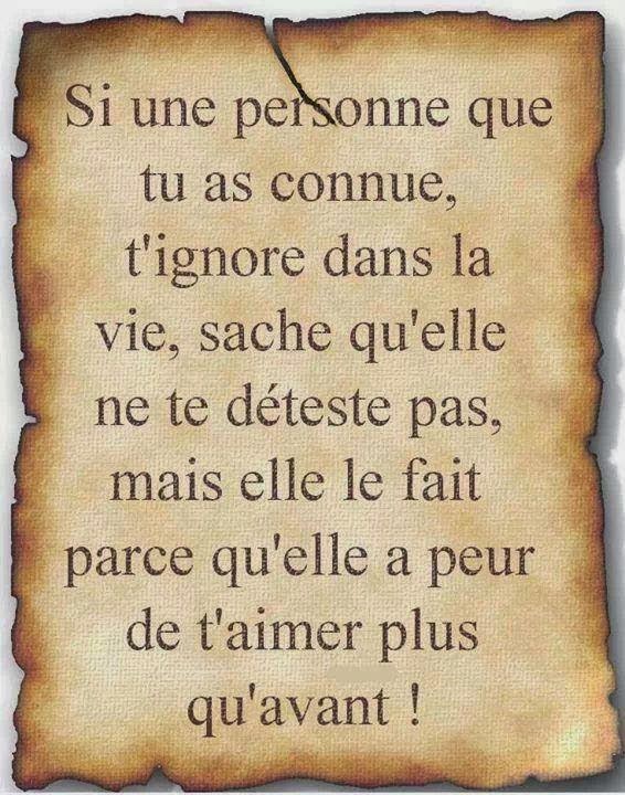 Citations Option Bonheur Si Une Personne T Ignore Elle T Aime Trop