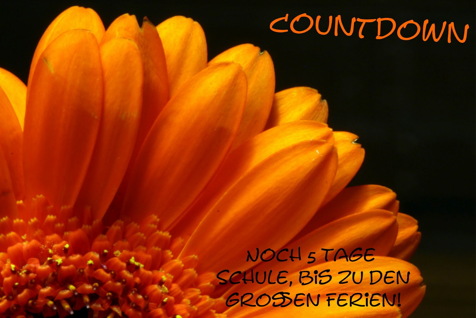 Countdown… mal wieder! Endlich Pause