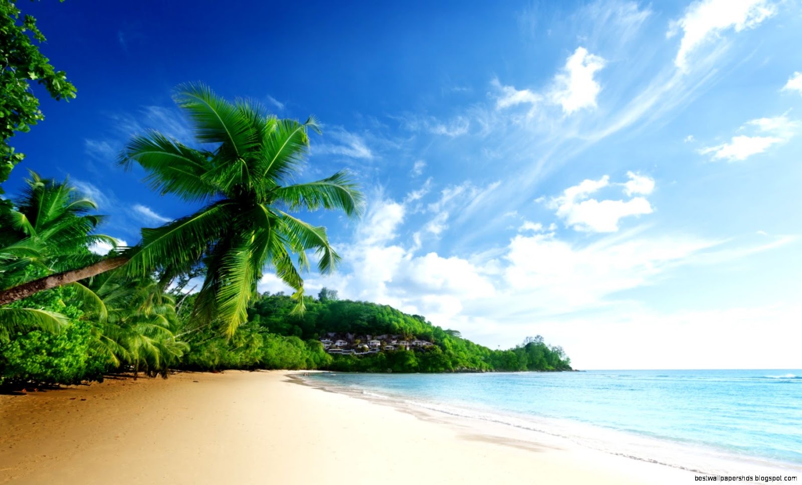 Tropical Beaches with Palm Trees Tropical Beaches with Palm Trees